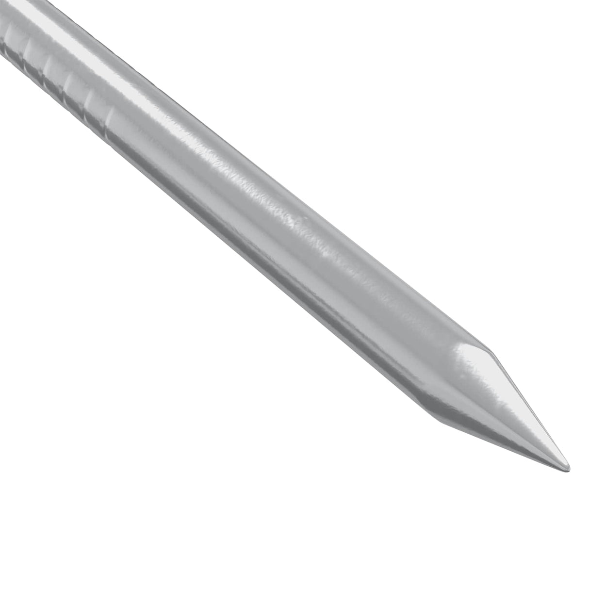 vidaXL Spijkers voor Hout 2 pcs Zilver Ø 3 x 15 mm Metaal