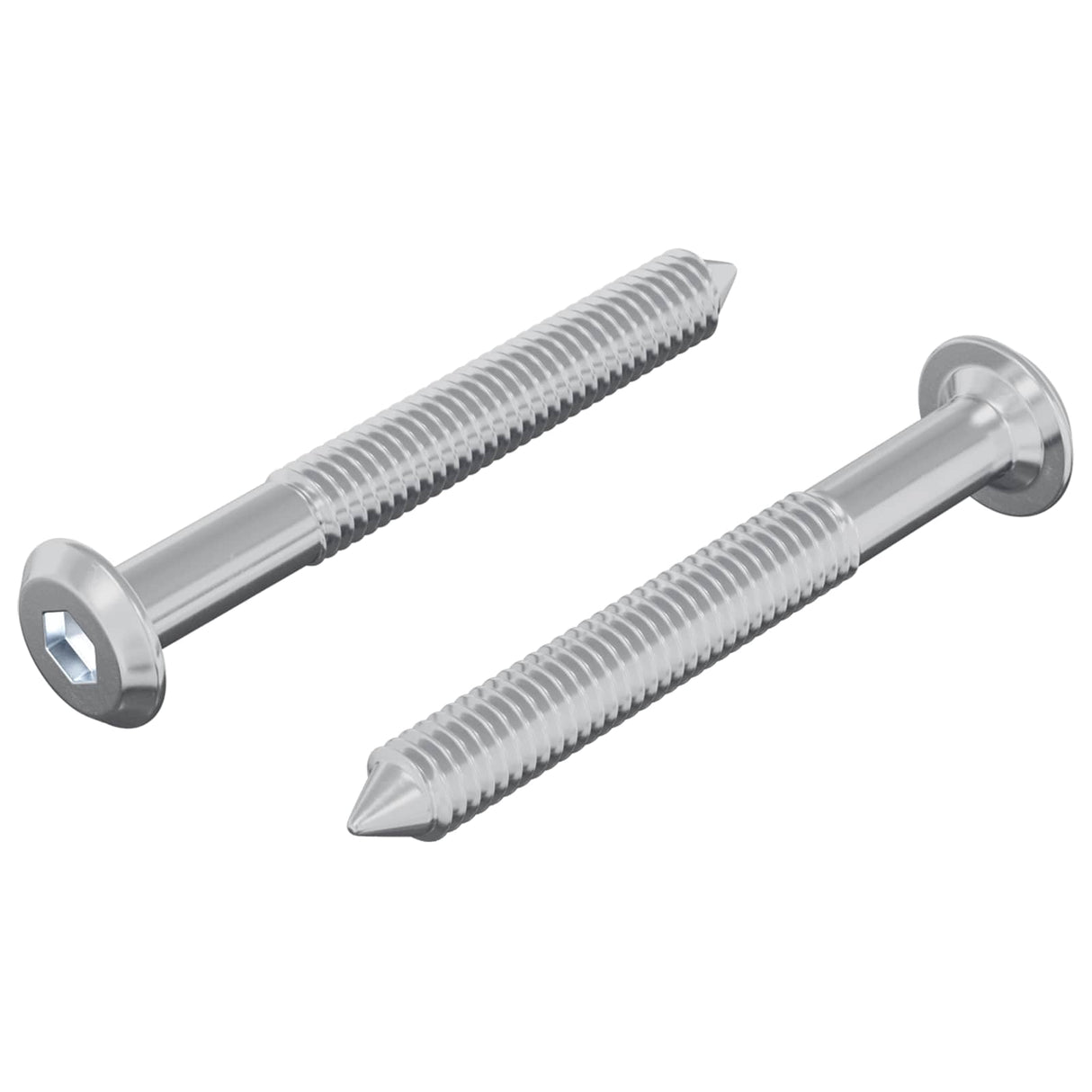 vidaXL Schroef 2 pcs Zilver M6 x 50 mm Staal