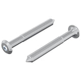 vidaXL Schroef 2 pcs Zilver M6 x 50 mm Staal