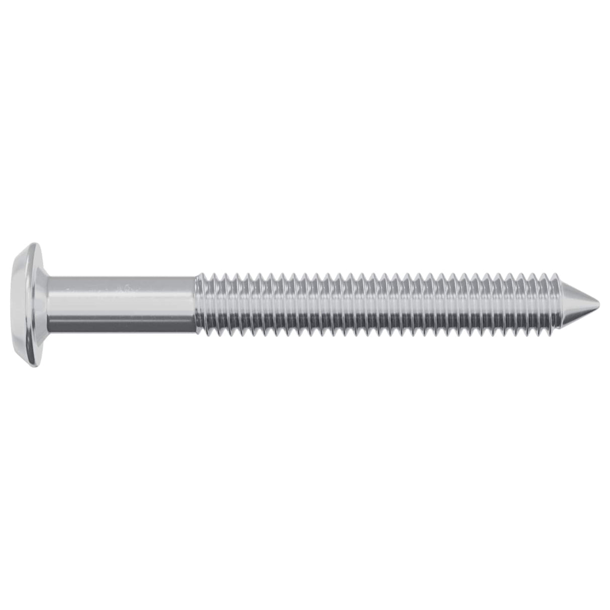 vidaXL Schroef 2 pcs Zilver M6 x 50 mm Staal
