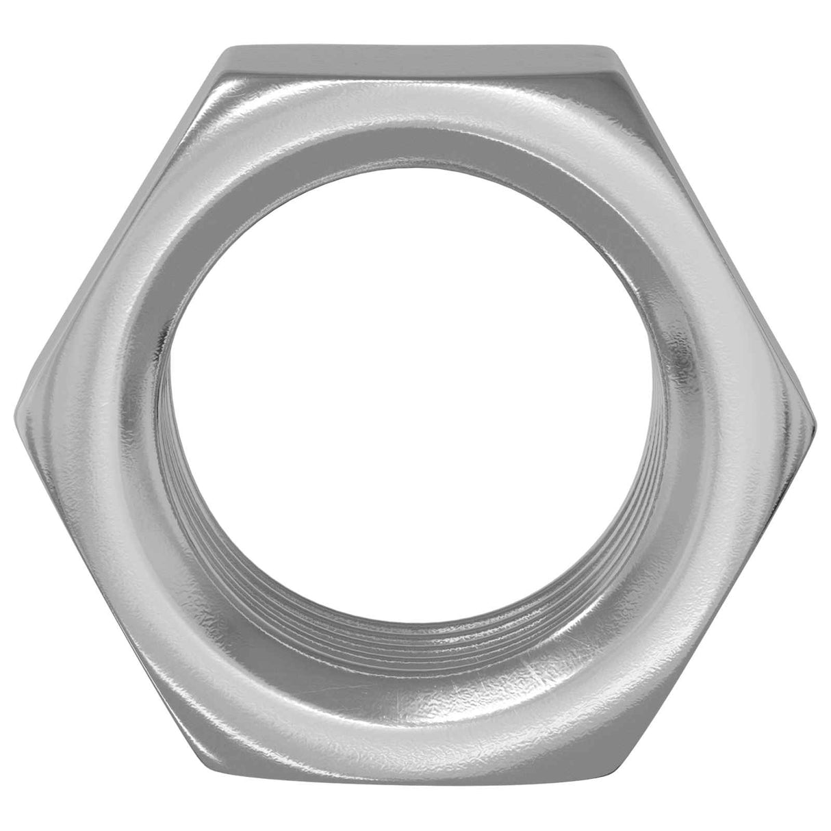vidaXL Hex Moer 2 pcs Zilver M6 Metaal