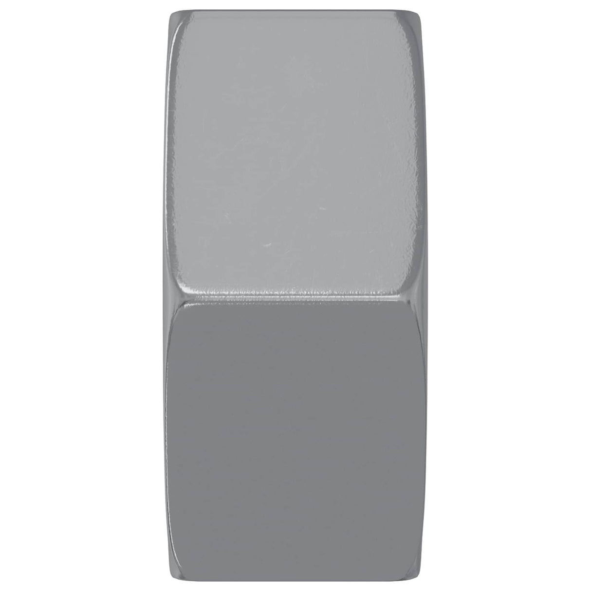 vidaXL Hex Moer 2 pcs Zilver M6 Metaal