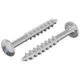 vidaXL Schroef 2 pcs Zilver 9,8 x 35 mm IJzer