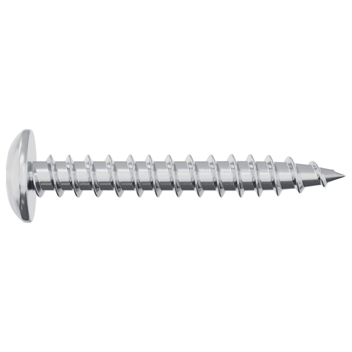 vidaXL Houtschroef 2 pcs Zilver M4 x 28 mm IJzer
