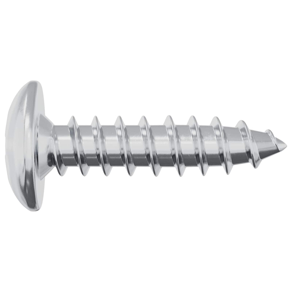 vidaXL Schroef 2 pcs Zilver M4 x 16 mm Staal