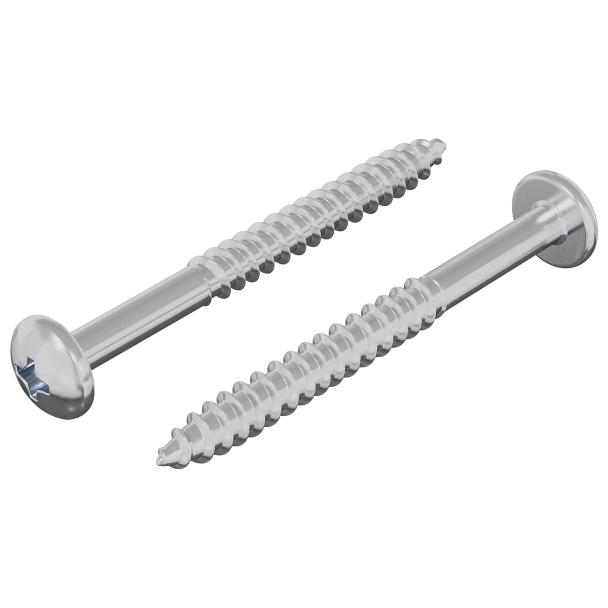 vidaXL Houtschroef 2 pcs Zilver 9,8 x 53 mm Staal