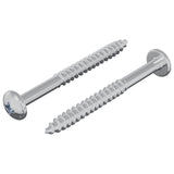 vidaXL Houtschroef 2 pcs Zilver 9,8 x 53 mm Staal