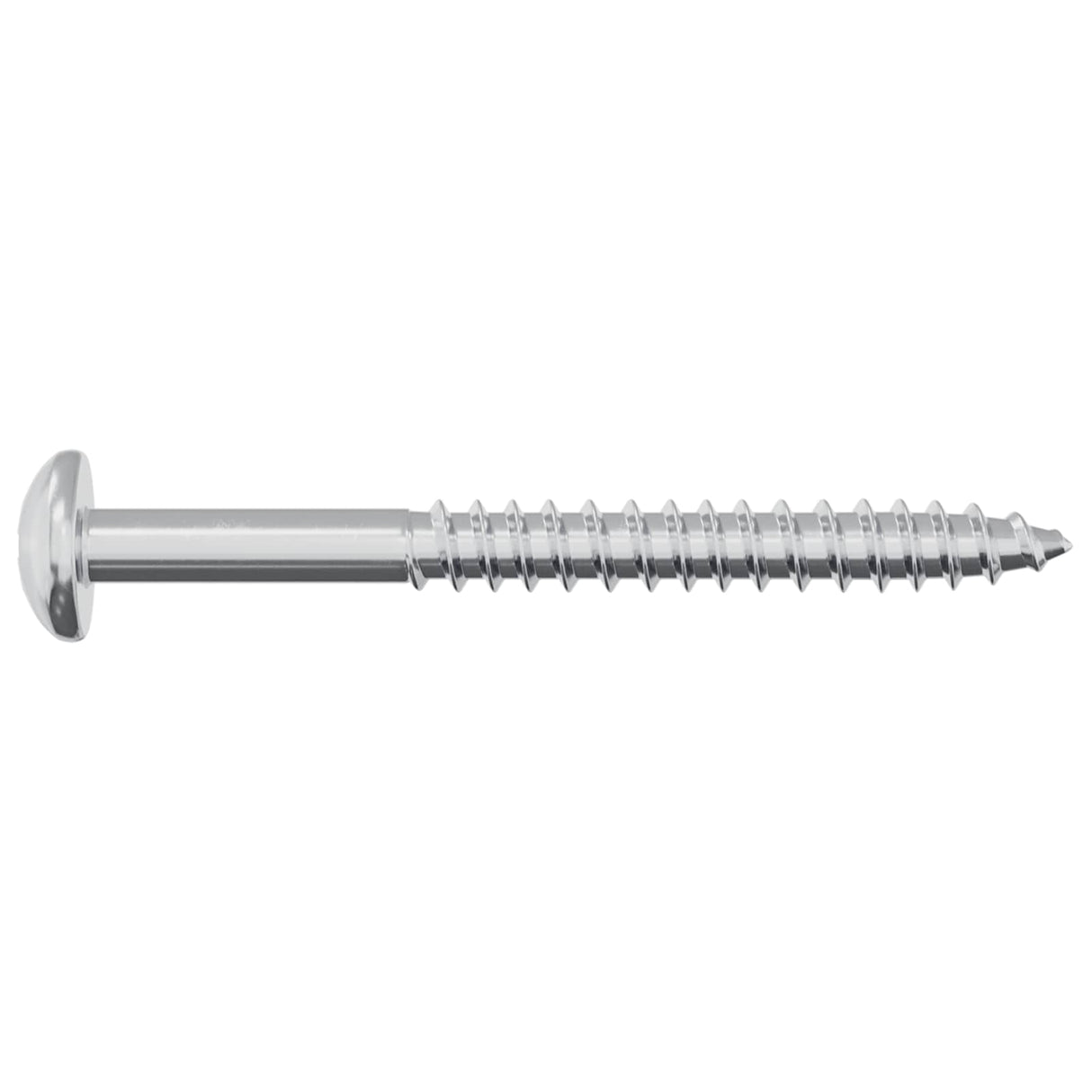 vidaXL Houtschroef 2 pcs Zilver 9,8 x 53 mm Staal