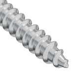 vidaXL Houtschroef 2 pcs Zilver 9,8 x 53 mm Staal