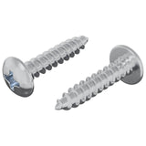 vidaXL Houtschroeven 2 pcs Zilver M4 x 20 mm Staal