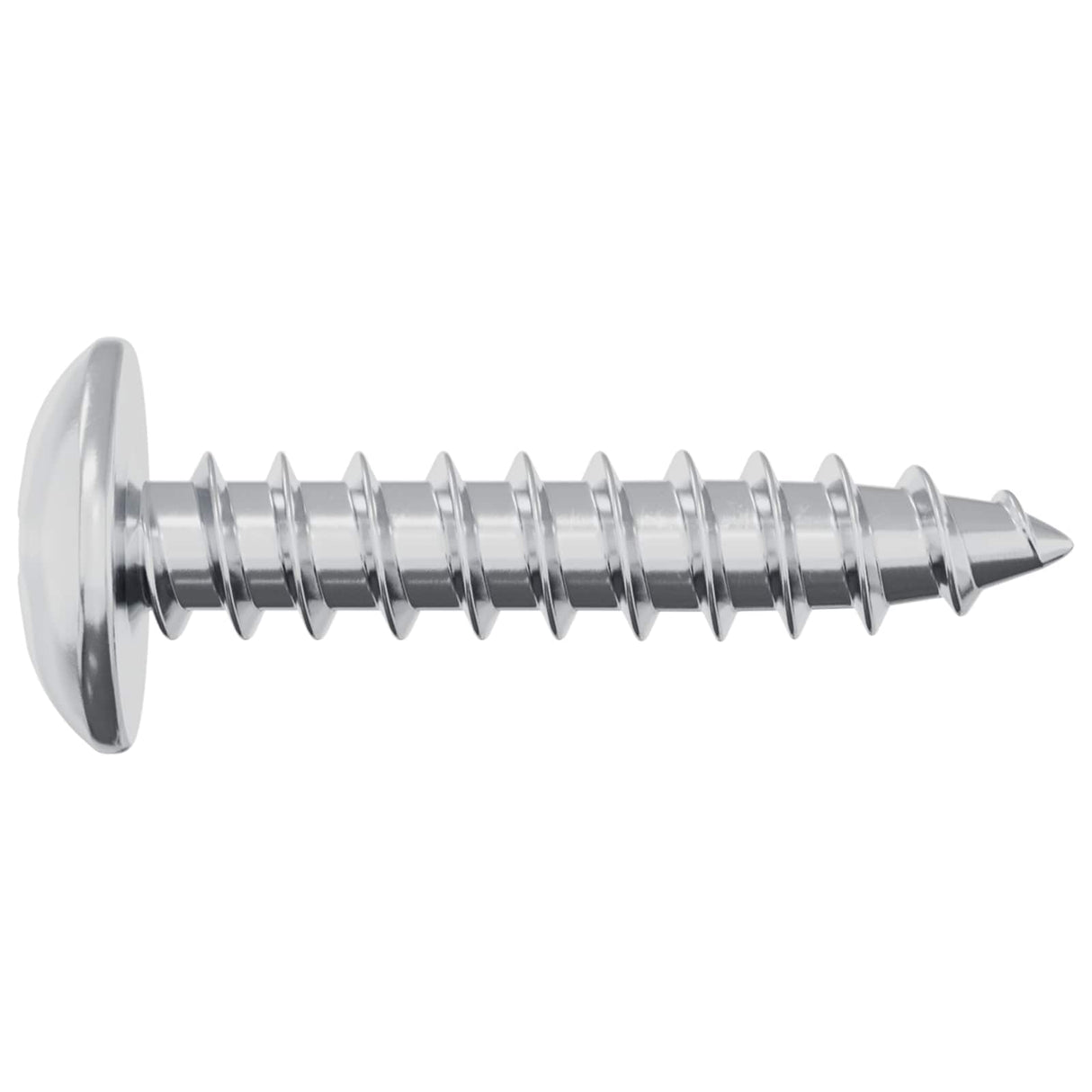 vidaXL Houtschroeven 2 pcs Zilver M4 x 20 mm Staal