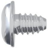 vidaXL Lockscrews 2 pcs Zilver M4 x 5 mm IJzer