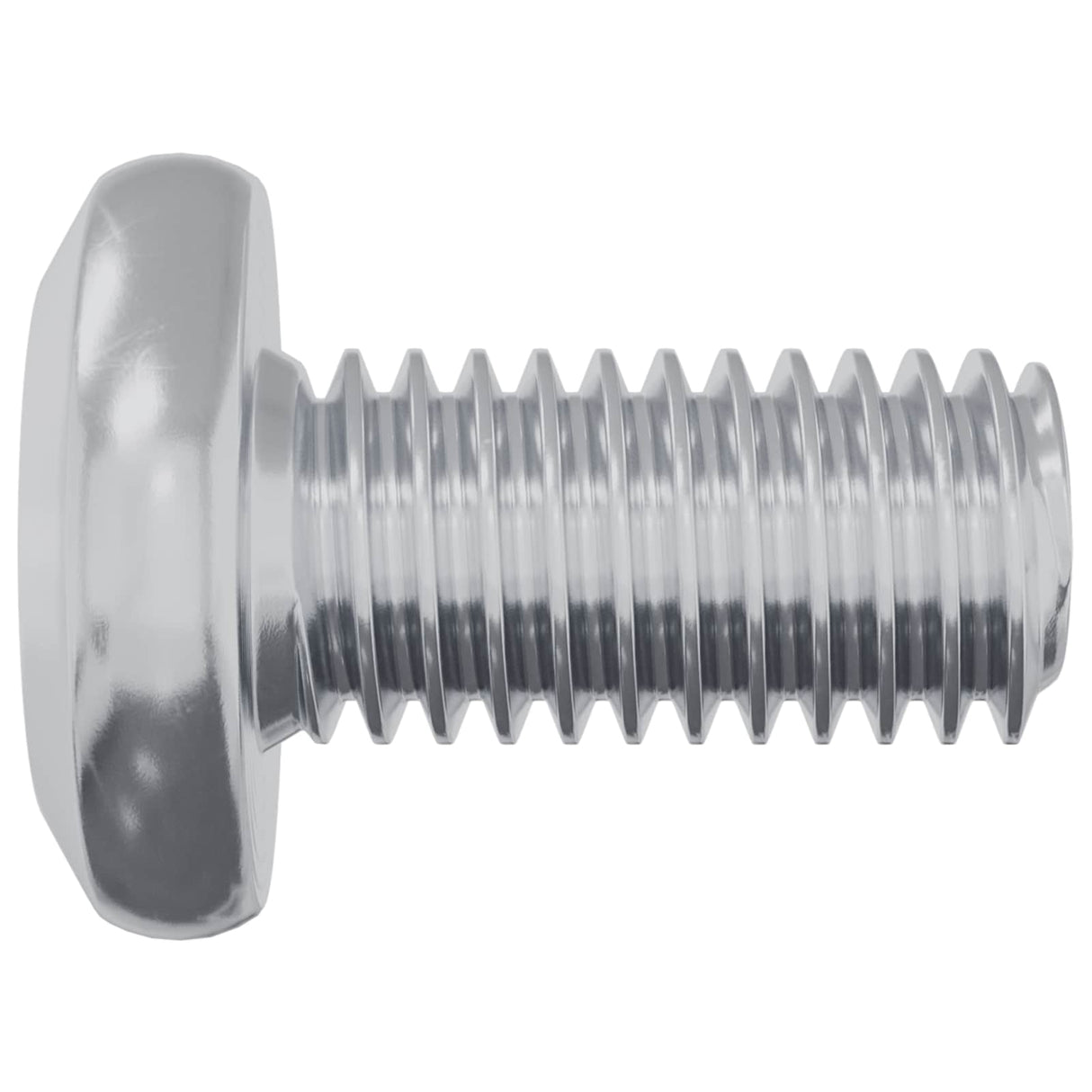 vidaXL Slot Schroef Effen 2 pcs Zilver M6 x 12 mm Staal