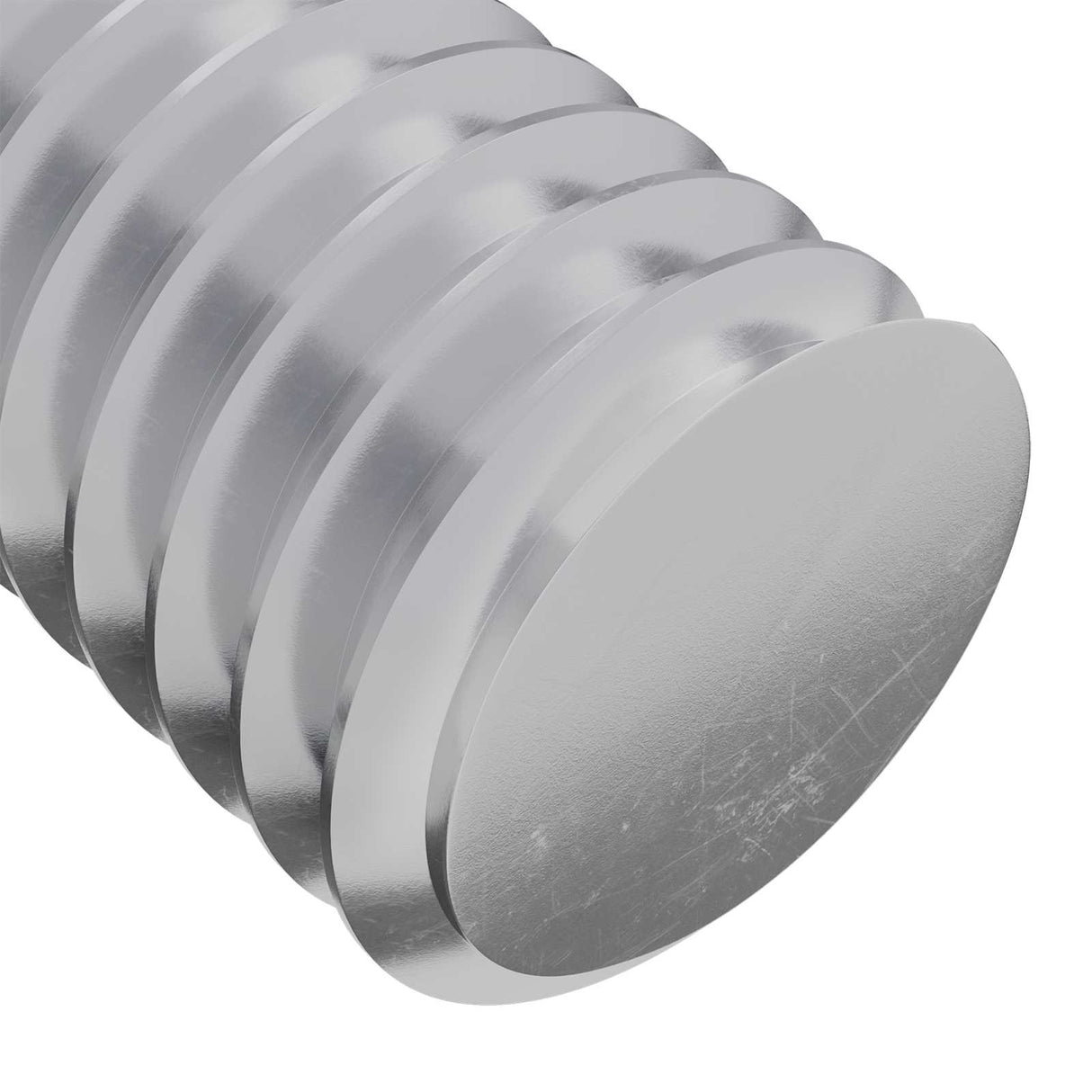 vidaXL Screw 2 pcs Silver 8 x 25 mm Steel