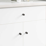 vidaXL Cabinet Knob 2 pcs Black 18 x 23 mm Iron