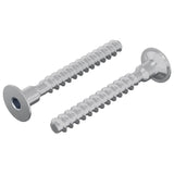 vidaXL Schroef 2 pcs Verzinkt 5 x 40 mm IJzer