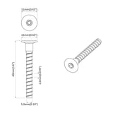 vidaXL Schroef 2 pcs Verzinkt 5 x 40 mm IJzer
