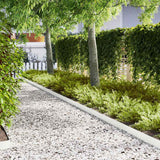 vidaXL Lawn Edging 50 pcs Black 100 x 0.05 x 20 cm