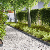 vidaXL Lawn Edging 50 pcs Black 100 x 0.05 x 20 cm