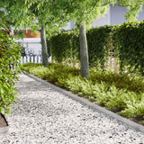 vidaXL Lawn Edging 50 pcs Black 100 x 0.05 x 20 cm