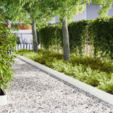 vidaXL Lawn Edging 50 pcs Black 100 x 0.05 x 20 cm