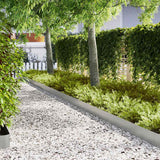 vidaXL Lawn Edging 50 pcs Black 100 x 0.05 x 20 cm