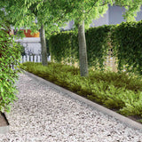 vidaXL Garden Edging Silver 450 x 0.05 x 15 cm Stainless Steel