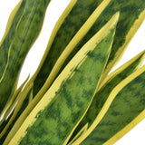 vidaXL Artificial sansevieria plant with pot 90 cm green