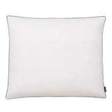 vidaXL Pillows 2 pcs feather filling 80x80 cm white