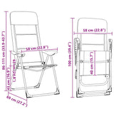 vidaXL Camping Chairs 58x69x111 cm Aluminium Grey 2 pcs
