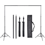 vidaXL Photo Studio Kit with 3 Cotton Backdrops and 3x3 m Frame
