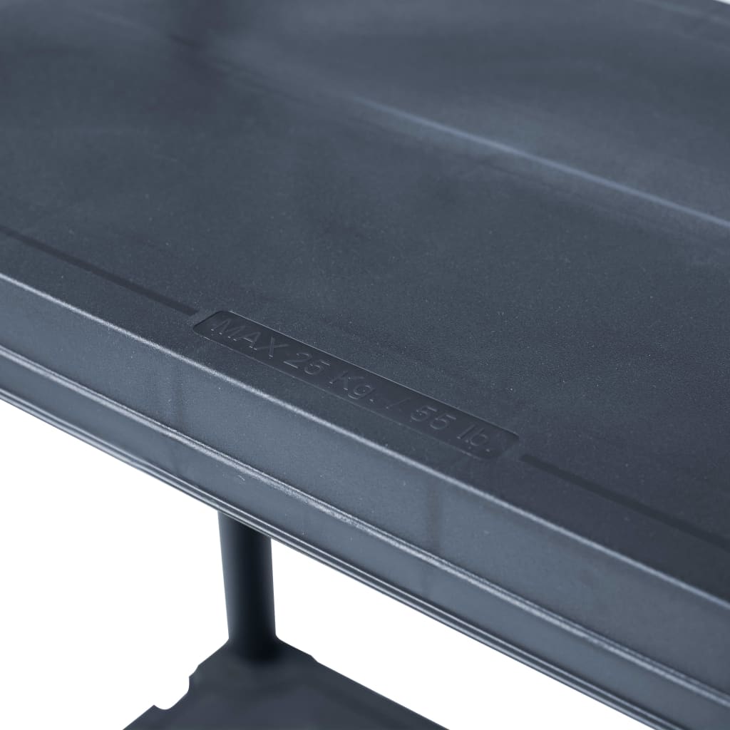 vidaXL Opbergrekken 2 st 60x30x138 cm kunststof zwart