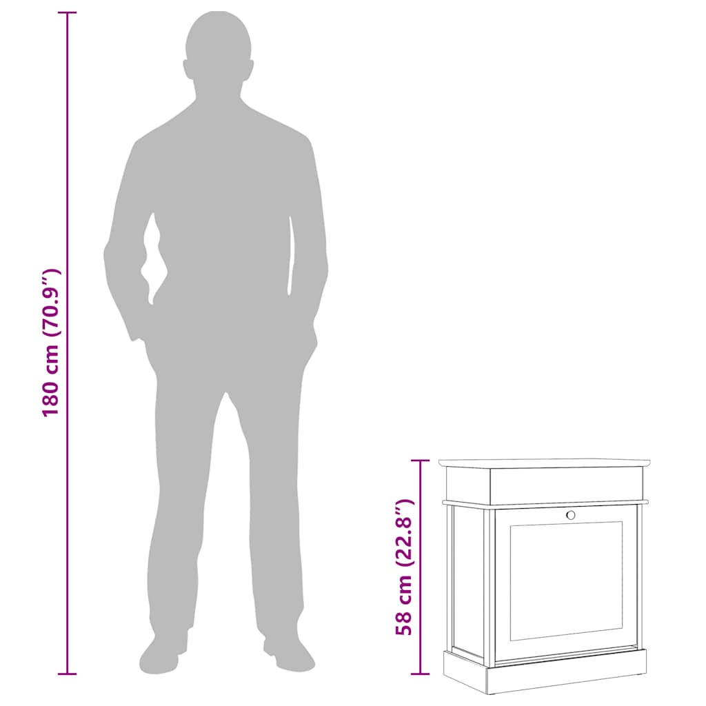 vidaXL Schoenenkast 50x28x58 cm paulowniahout grijs