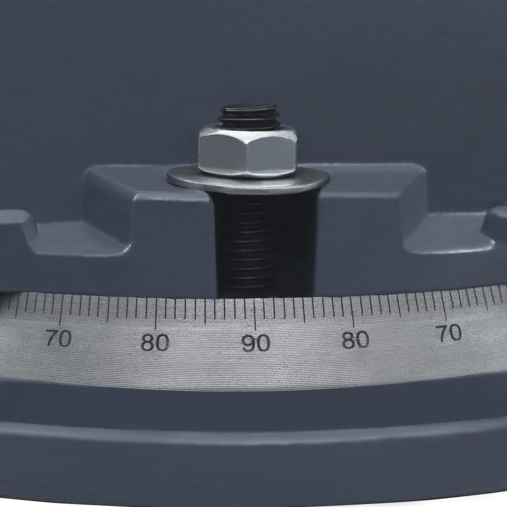 vidaXL Swivel Bench Vice 160 mm Cast Iron