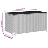 vidaXL Tuinbox 120x65x61 cm poly rattan zwart