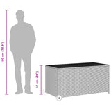 vidaXL Tuinbox 120x65x61 cm poly rattan zwart
