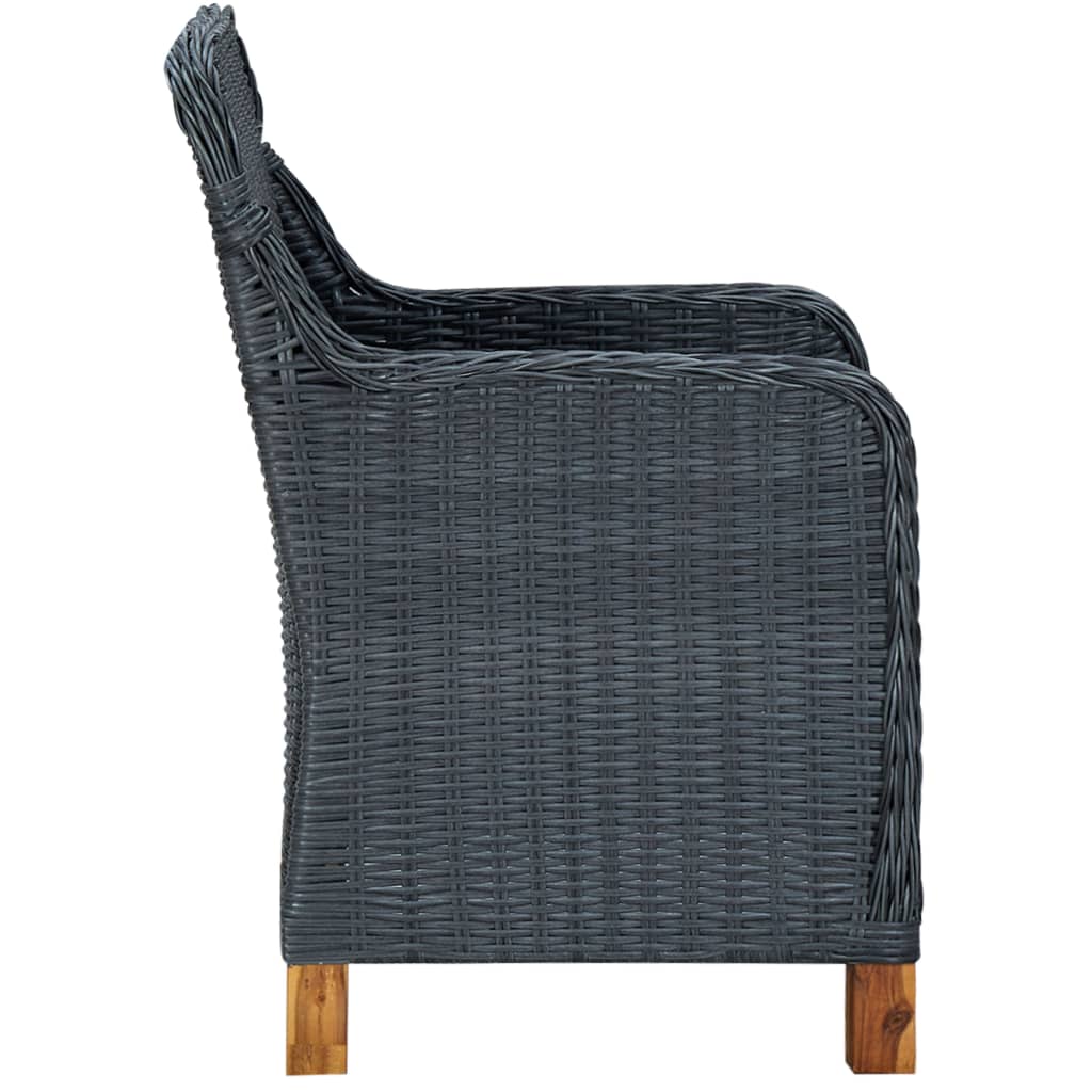 vidaXL Tuinstoelen 2 st met kussens poly rattan donkergrijs