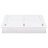 vidaXL Zandbak 95x90x15 cm vurenhout wit