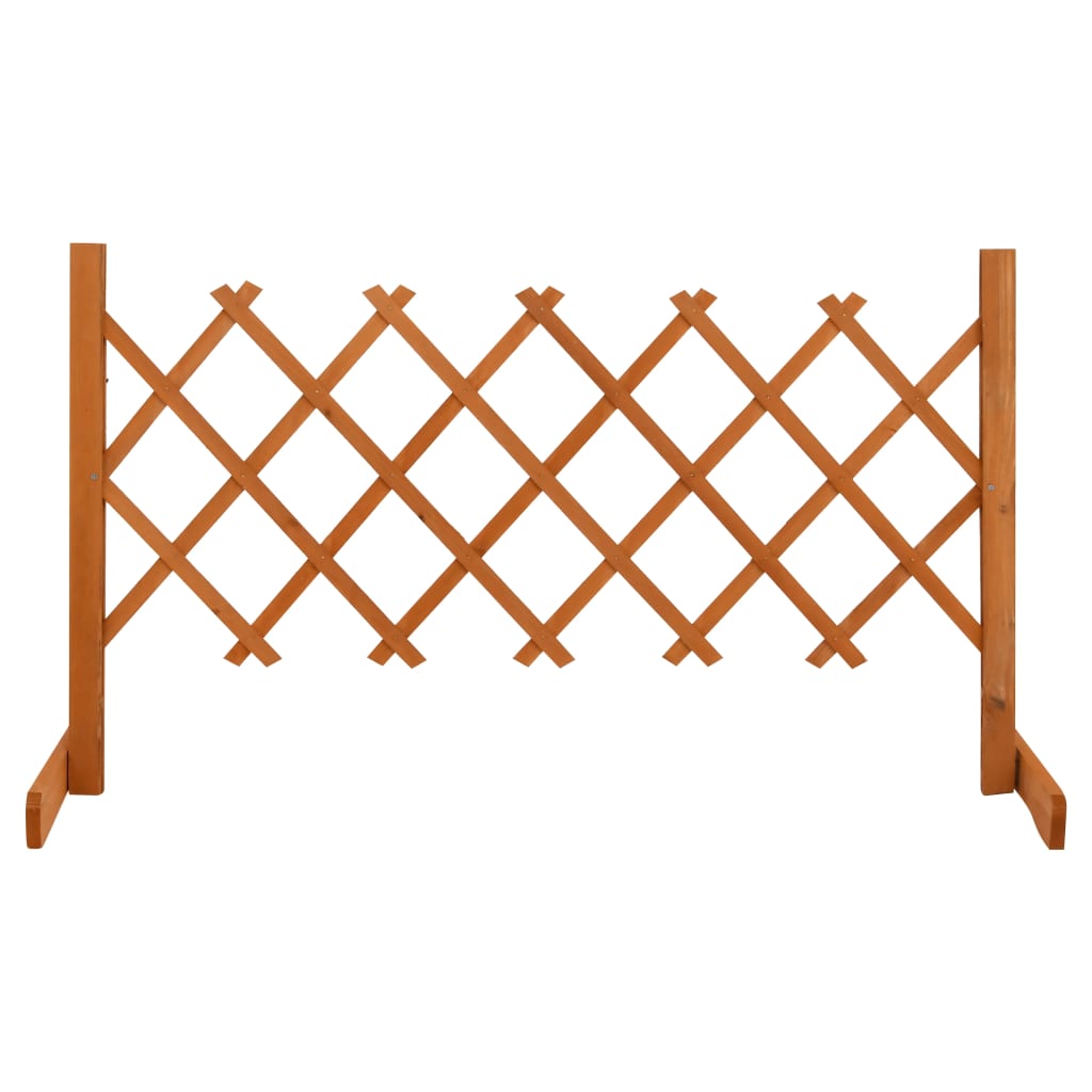 vidaXL Usine de jardin 120x60 cm massif vurenhout orange