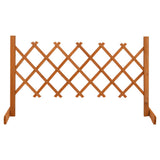 vidaXL Usine de jardin 120x60 cm massif vurenhout orange