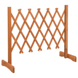 vidaXL Usine de jardin 120x60 cm massif vurenhout orange