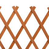 vidaXL Usine de jardin 120x60 cm massif vurenhout orange