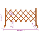 vidaXL Usine de jardin 120x60 cm massif vurenhout orange