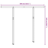 vidaXL Luifelpaalset 300x245 cm ijzer wit