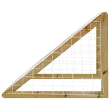 vidaXL Football Goal with Net 160x80x100 cm Impregnated Pinewood