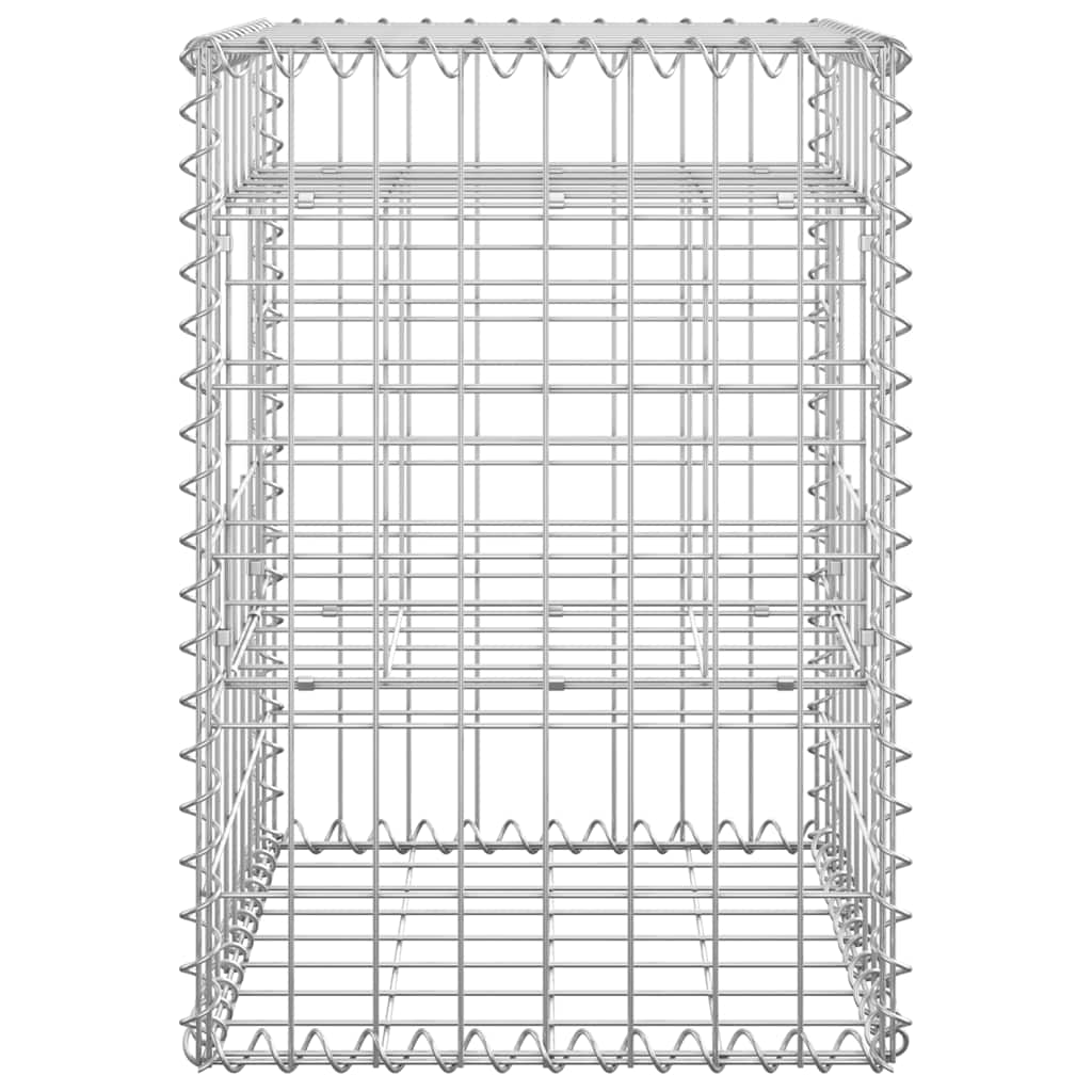vidaXL Gabion poles 2 pcs 40x40x60 cm iron