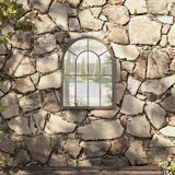 vidaXL Garden Mirror 60x45 cm Iron Sand-colored