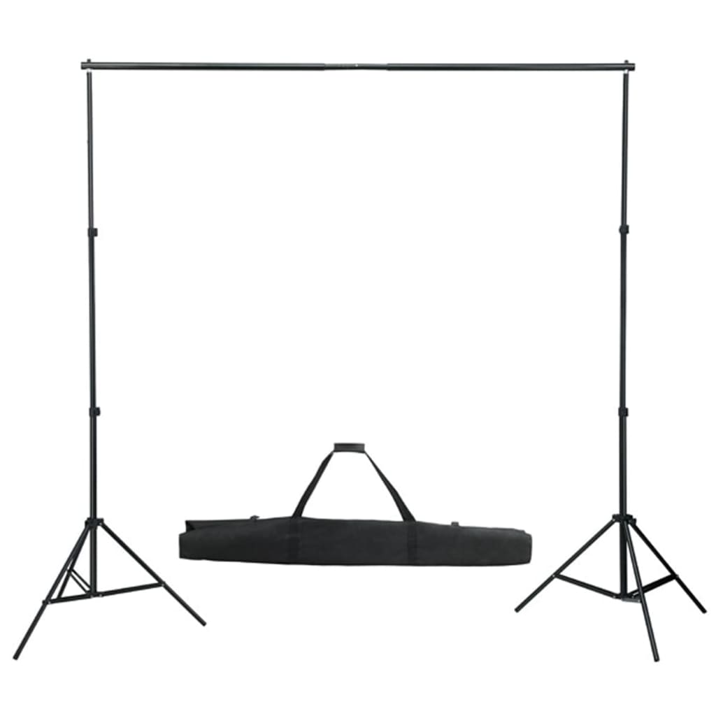 vidaXL Studio de photos avec ensemble d'éclairage, à côté d'un réflecteur