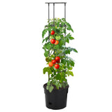 vidaXL Tomato Growing Pot ø29.5x115 cm Polypropylene Anthracite