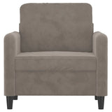 vidaXL Fauteuil 60 cm fluweel lichtgrijs